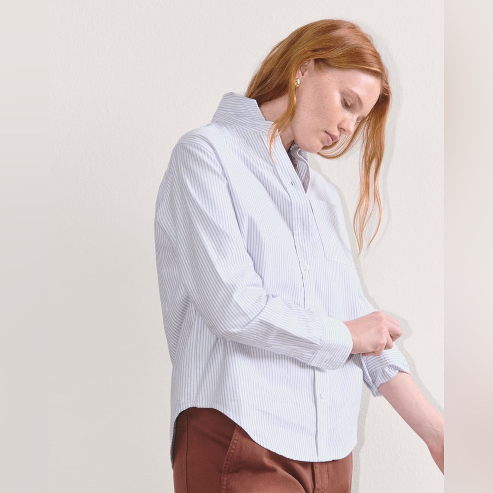 Everlane The Must-Have Oxford Shirt